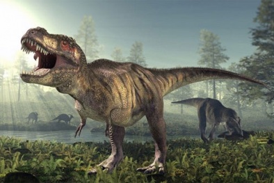 Nghiên cứu mới về bước đi của khủng long bạo chúa T-Rex